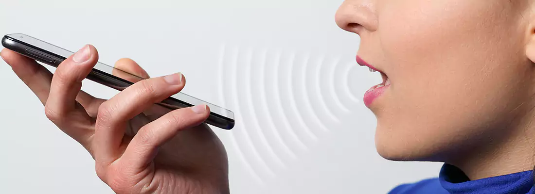 Residential and Commercial Voice Recognition Access Solutions in Plantation, FL